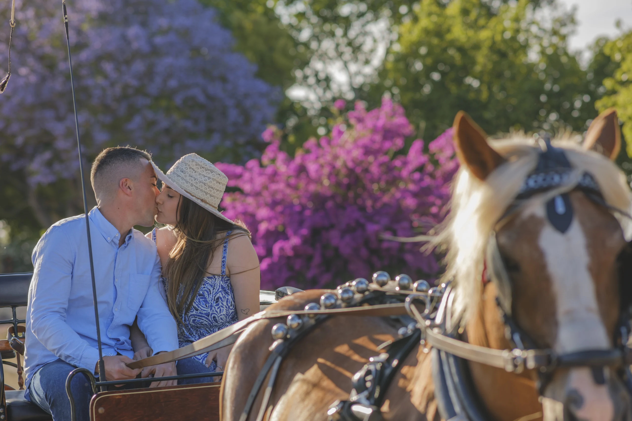 Preboda con caballo
